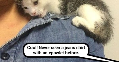 Mom's a fur-star