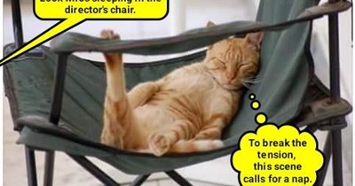 Alfured Hitchclaws, associate director