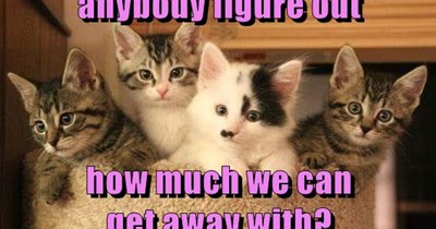 The amount the human can notice...