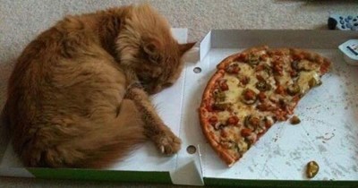 Pizza is all mine