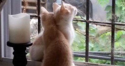 Opposites attract