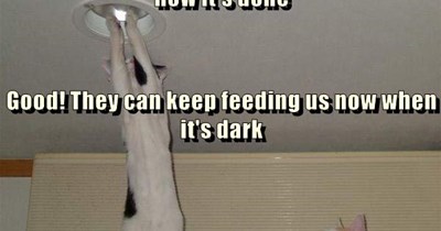 Show these humans how it's done