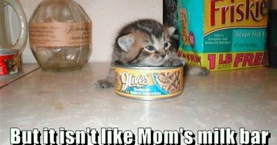 A whole can of noms