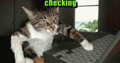 Feline fact checking