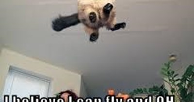 Uh-Oh
