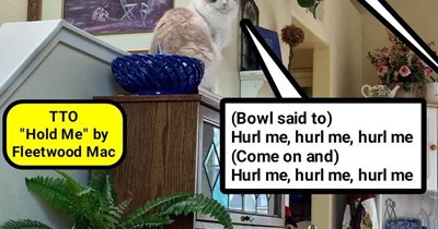 "Hurl Me" (TTO "Hold Me" by Fleetwood Mac)
