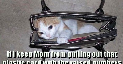 Dad promised