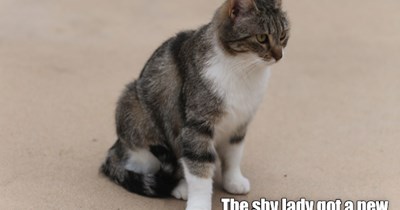 Smilla got adopted!