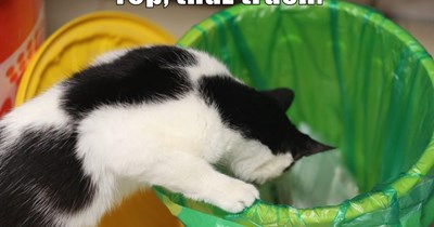 Just trash