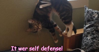 Self Defense!