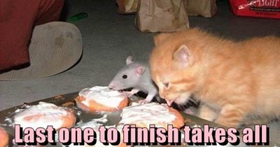 Eating contest