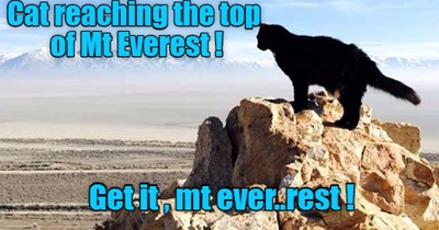 At the top!