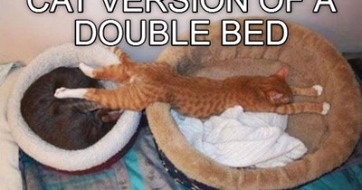 Double bed