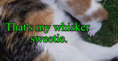 Just a whisker