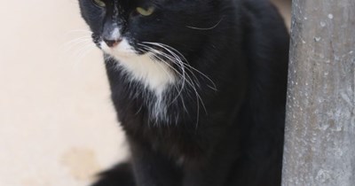 Grobi got adopted!