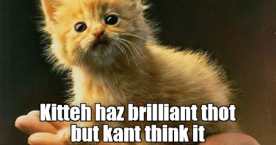 Making Kitteh Sadz