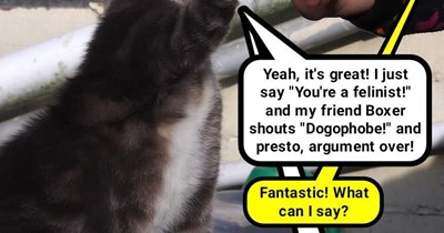 Magic words