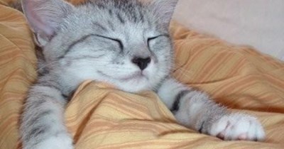First, a nap