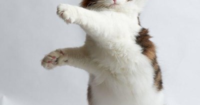 Her ballet steps were not as graceful