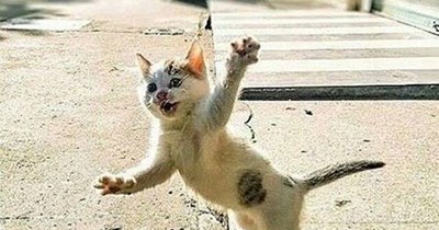 Stop!