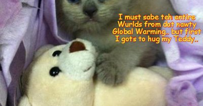 First, hug Teddy