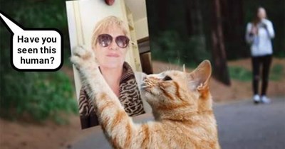 Cat Ventura, Slave Detective (recaption http://tinyurl.com/hpl8vb6