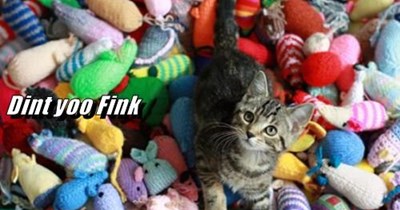 Hooman, a question...