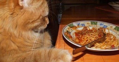 Canned Salmon ALL next week!