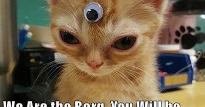 Resistance is Futile