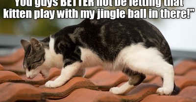 Did You Hear Something?