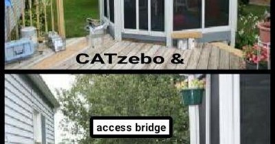 A safer way to have indoor-outdoor cats