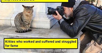 "Celluloid Heroes" by The Kinks