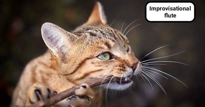 See the invisible holes?