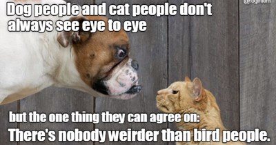 Cats vs. Dogs vs. Birds