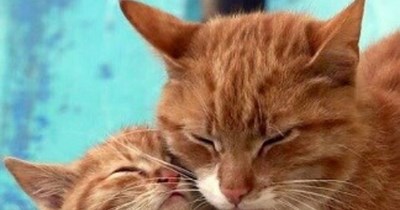 A fawder-sun conbersashun abowt a bery unforchunate happening..