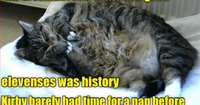 Time flies when you're busy