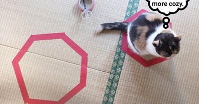 Virtual boxes, just as good as real boxes