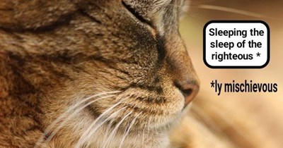 Pure as the driven snow