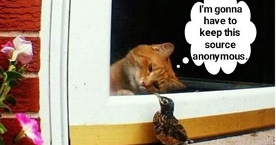 Or else I'll lose my credibility