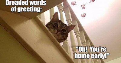 The look doesn't help...