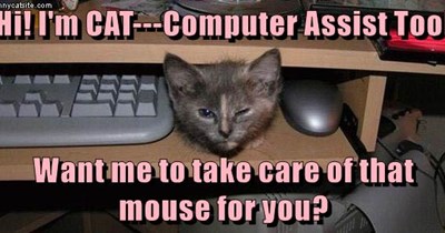 Hi! I'm CAT---Computer Assist Tool