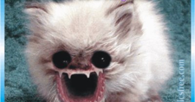 Adoption is for life