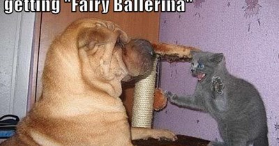 Godzilla Attack Kitteh