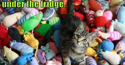 Couldn't fit under the fridge.