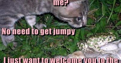 No need to get jumpy