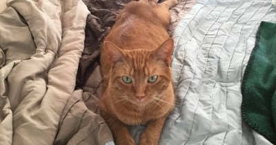 Find yourself another