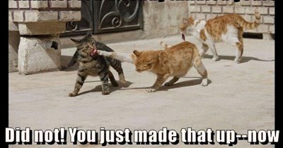 Cats can be like humans at times