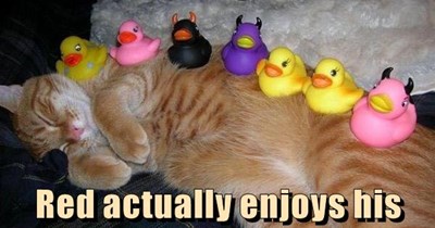 Rover has a big disappoint