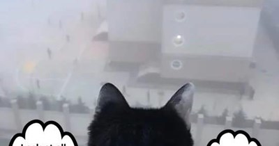 Humans are so wasteful