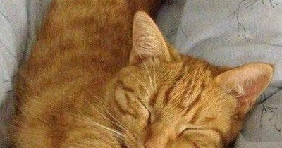 "To dream, the invisible dream"